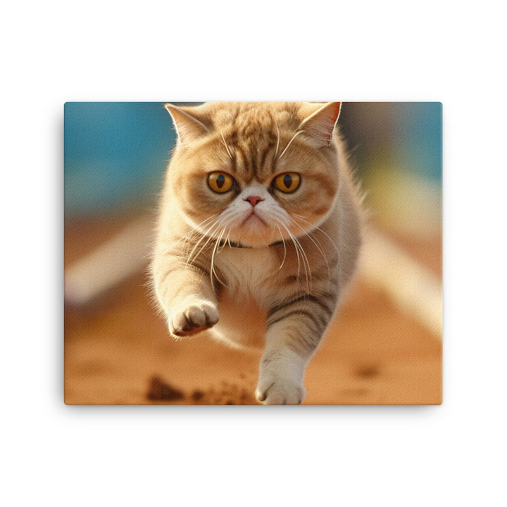 Exotic Shorthair Canvas - PosterfyAI.com