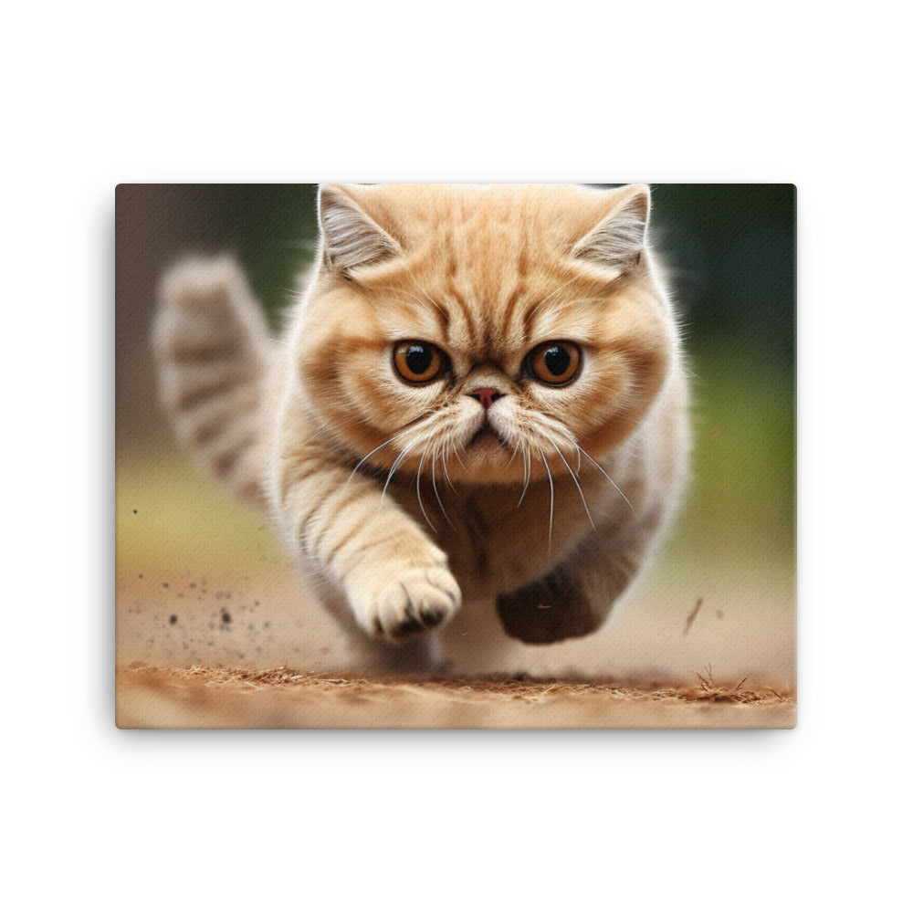 Exotic Shorthair Canvas - PosterfyAI.com