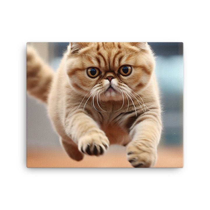 Exotic Shorthair Canvas - PosterfyAI.com