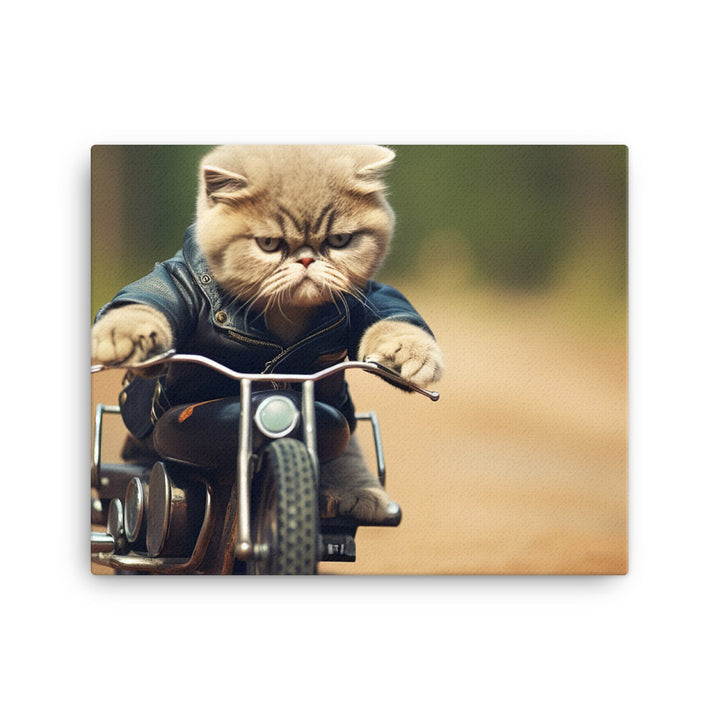 Exotic Shorthair Superbike Athlete Canvas - PosterfyAI.com