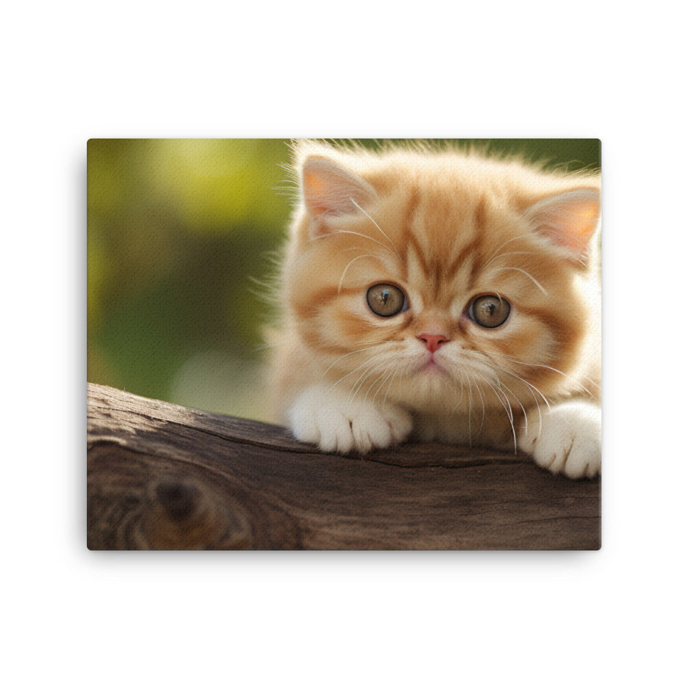 Exotic Shorthair Canvas - PosterfyAI.com