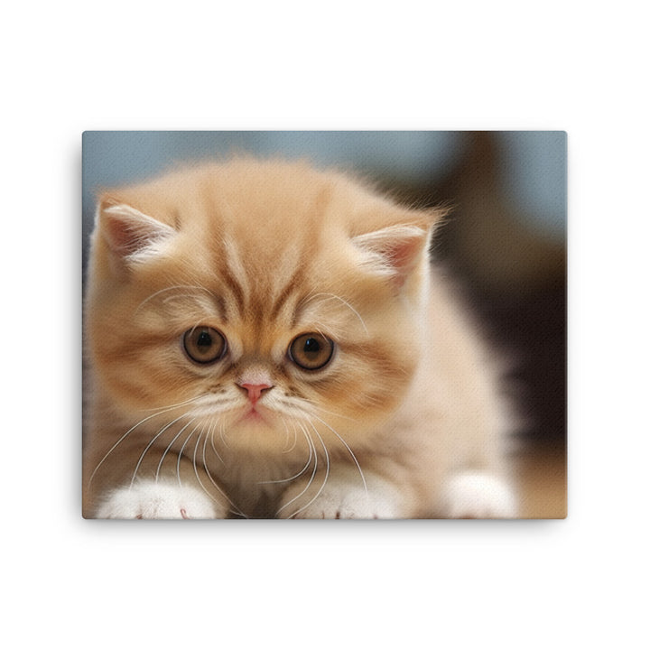 Exotic Shorthair Canvas - PosterfyAI.com