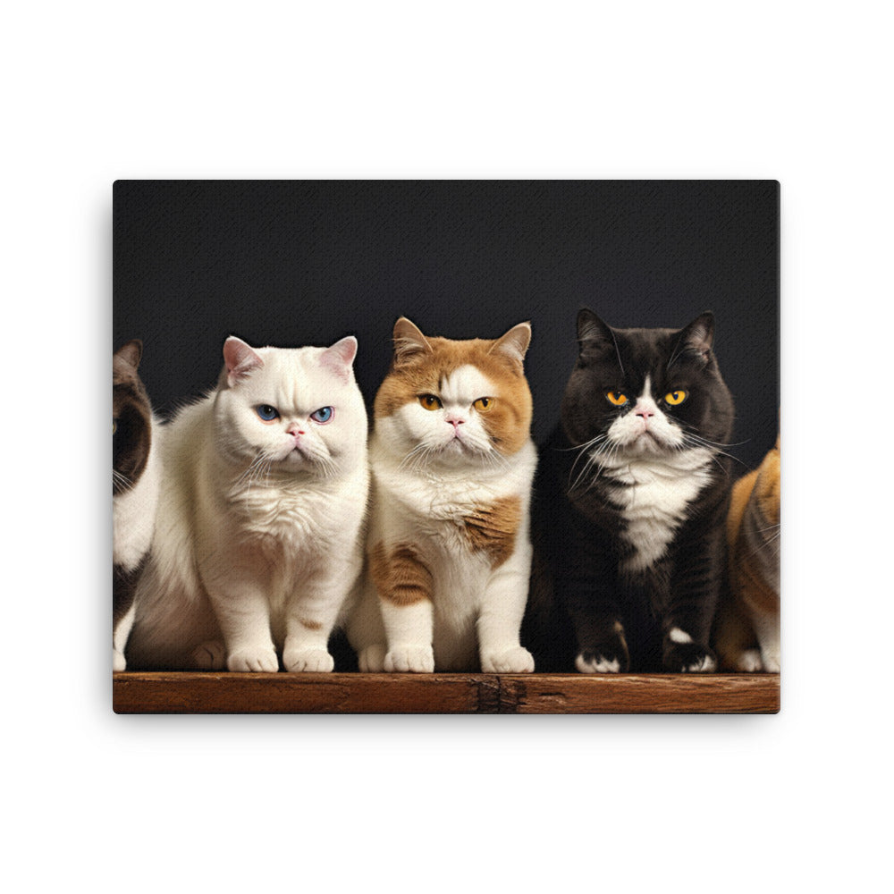 Exotic Shorthair Canvas - PosterfyAI.com