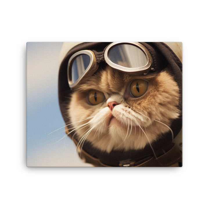 Exotic Shorthair Pilot Canvas - PosterfyAI.com