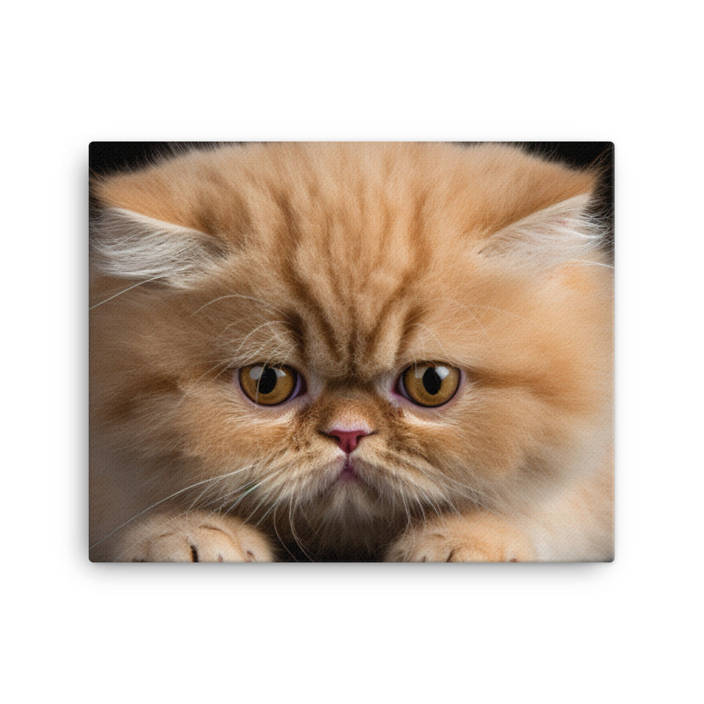 Exotic Shorthair Canvas - PosterfyAI.com