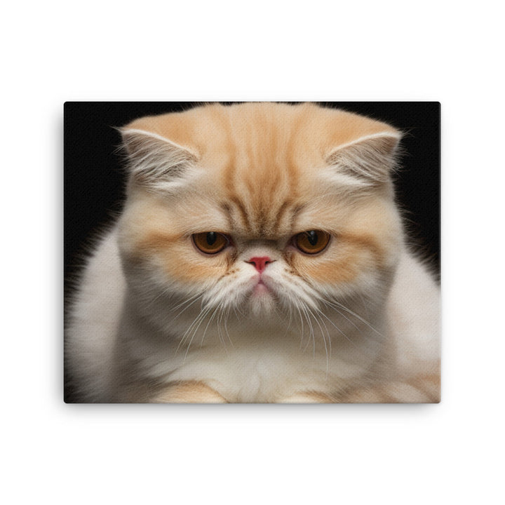 Exotic Shorthair Canvas - PosterfyAI.com