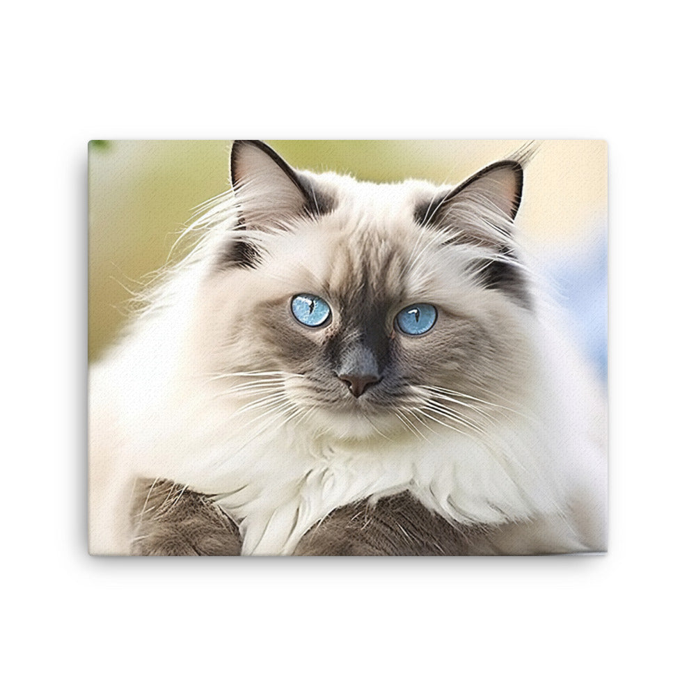 Ragdoll Canvas - PosterfyAI.com