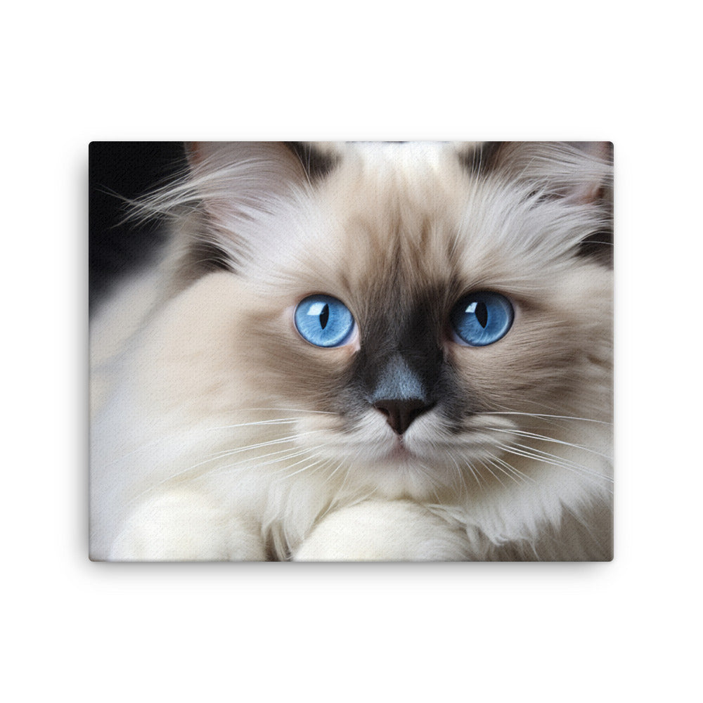 Ragdoll Canvas - PosterfyAI.com