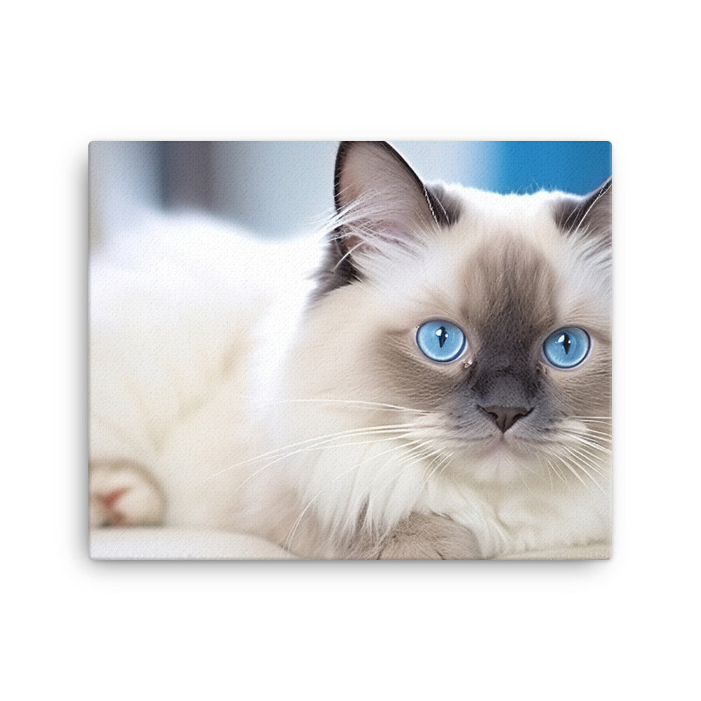 Ragdoll Canvas - PosterfyAI.com