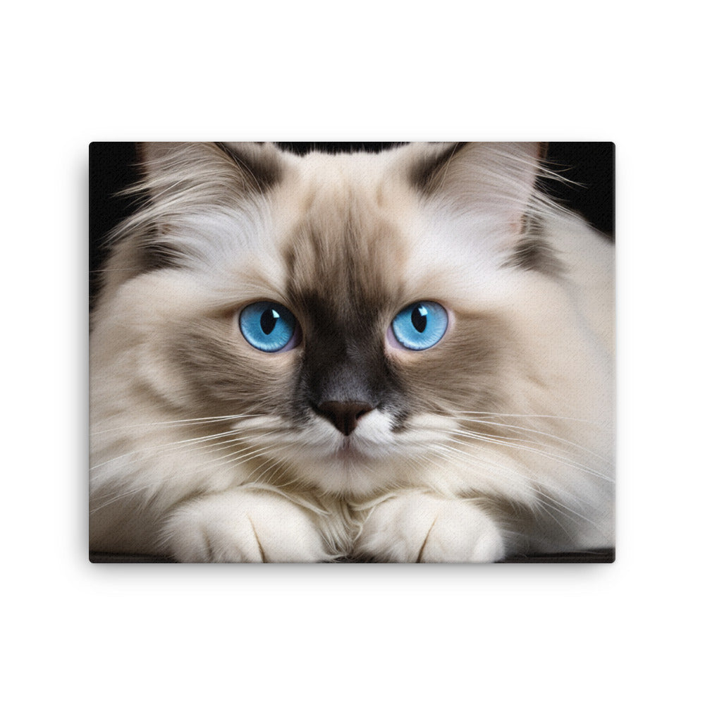 Ragdoll Canvas - PosterfyAI.com