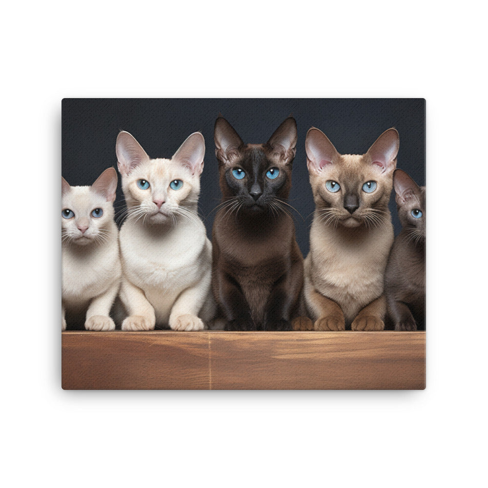 Tonkinese Canvas - PosterfyAI.com