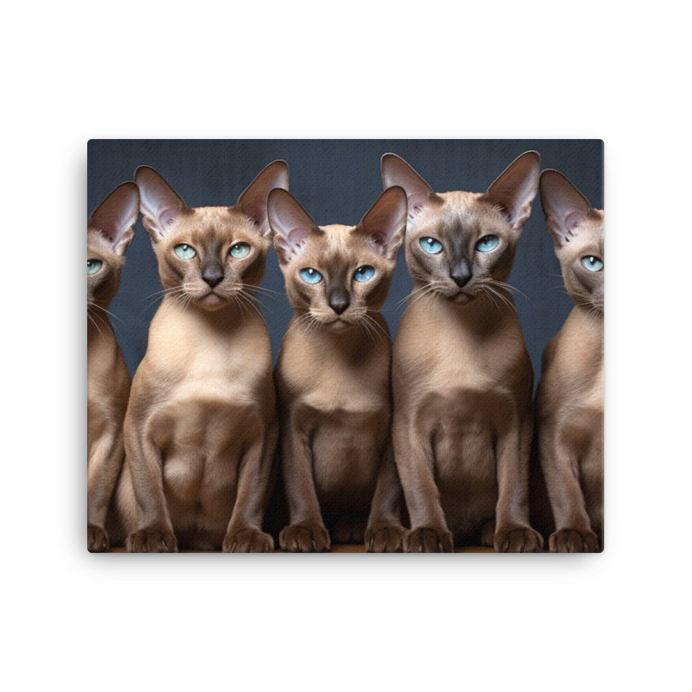 Tonkinese Canvas - PosterfyAI.com