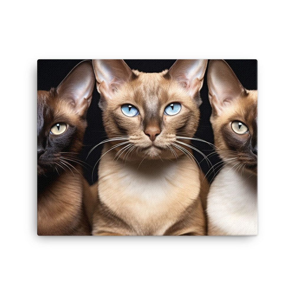 Tonkinese Canvas - PosterfyAI.com