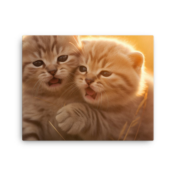 Scottish Fold Canvas - PosterfyAI.com