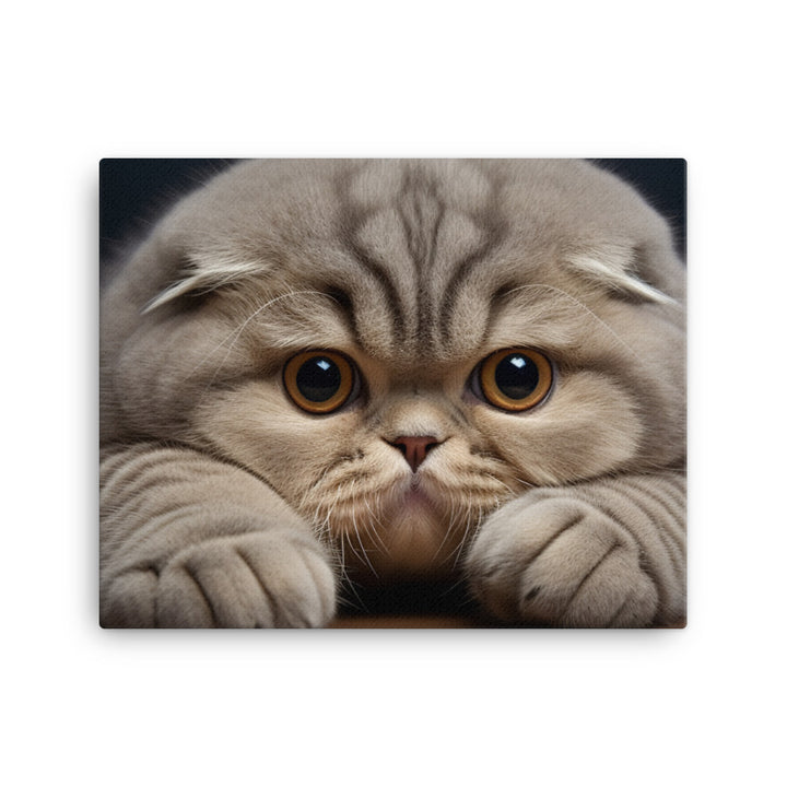 Scottish Fold Canvas - PosterfyAI.com