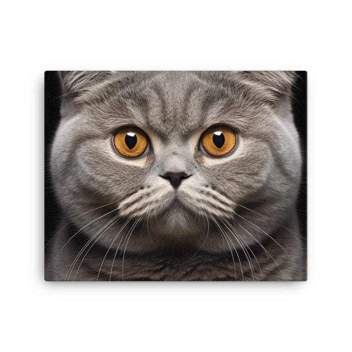 Scottish Fold Canvas - PosterfyAI.com