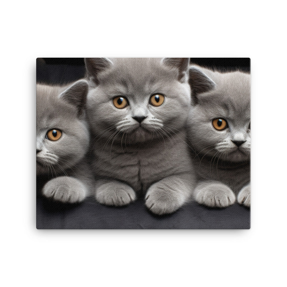 British Shorthair Canvas - PosterfyAI.com