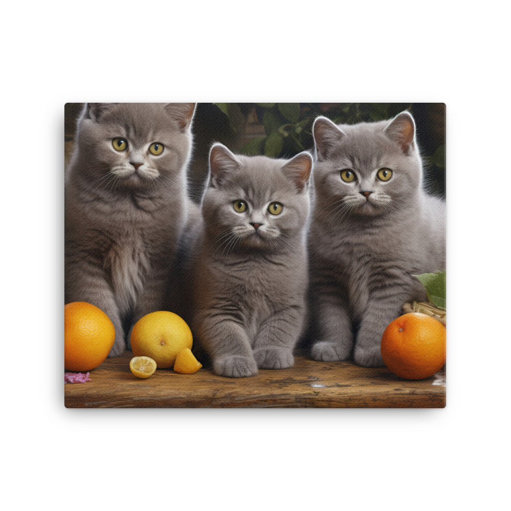 British Shorthair Canvas - PosterfyAI.com