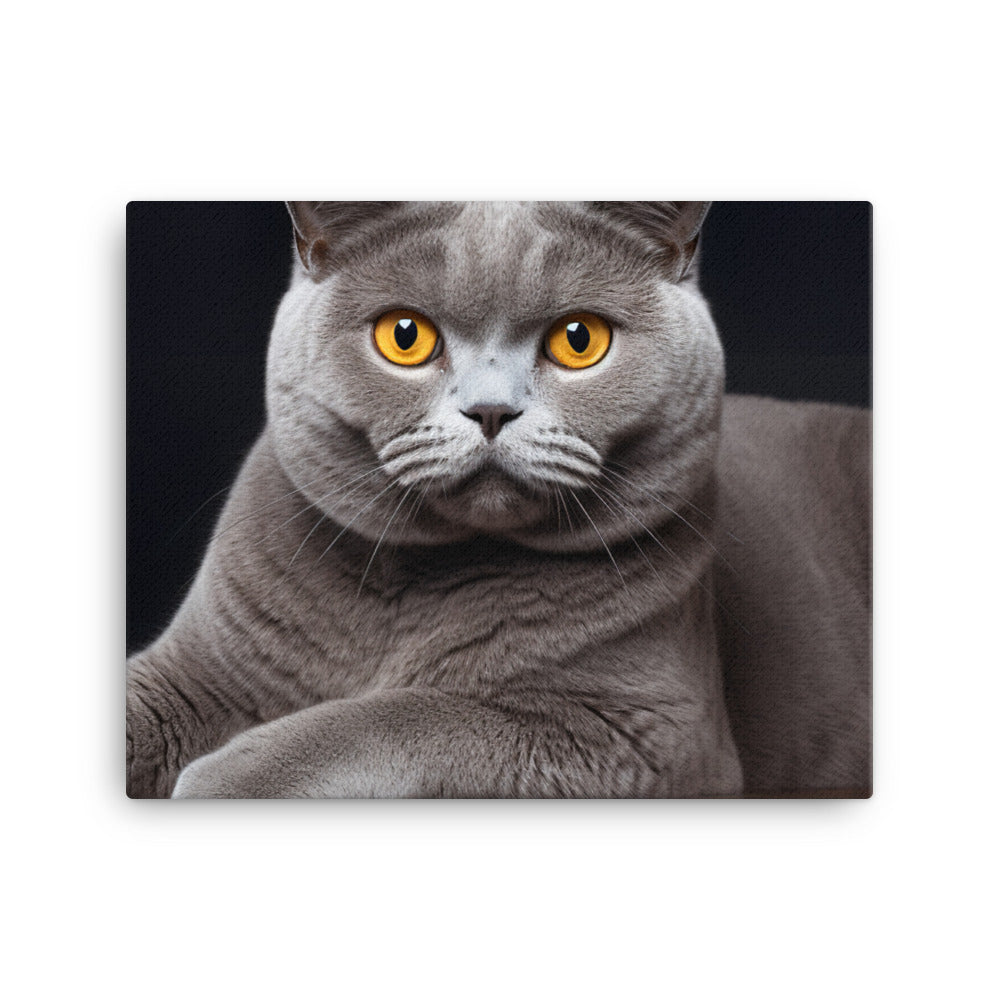 British Shorthair Canvas - PosterfyAI.com