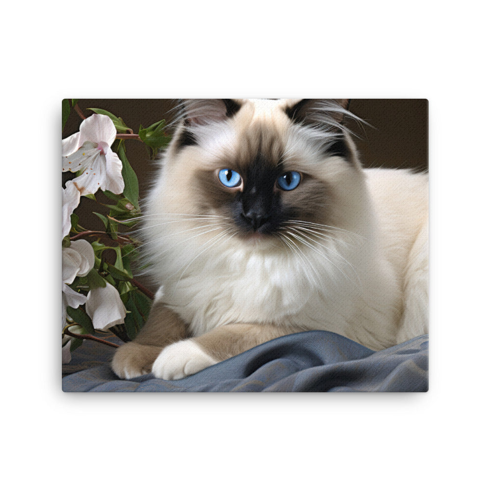 Birman Canvas - PosterfyAI.com