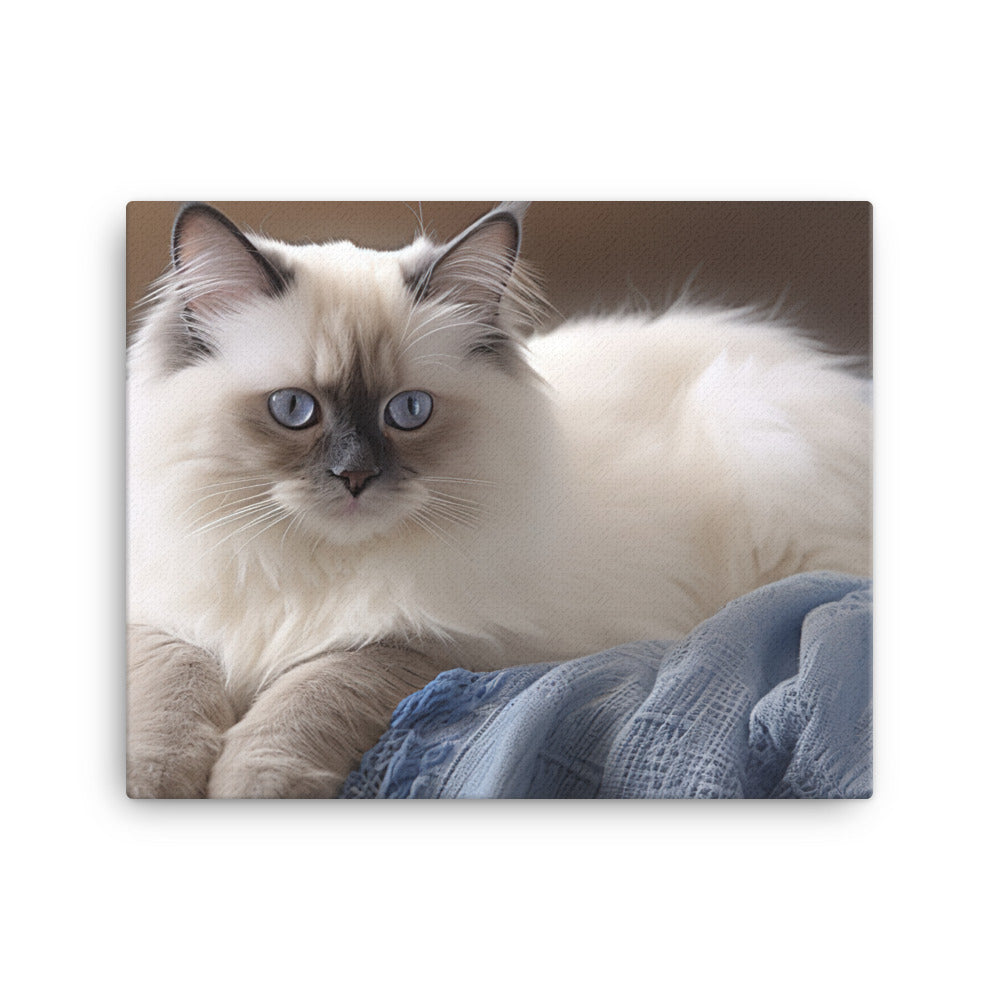 Birman Canvas - PosterfyAI.com