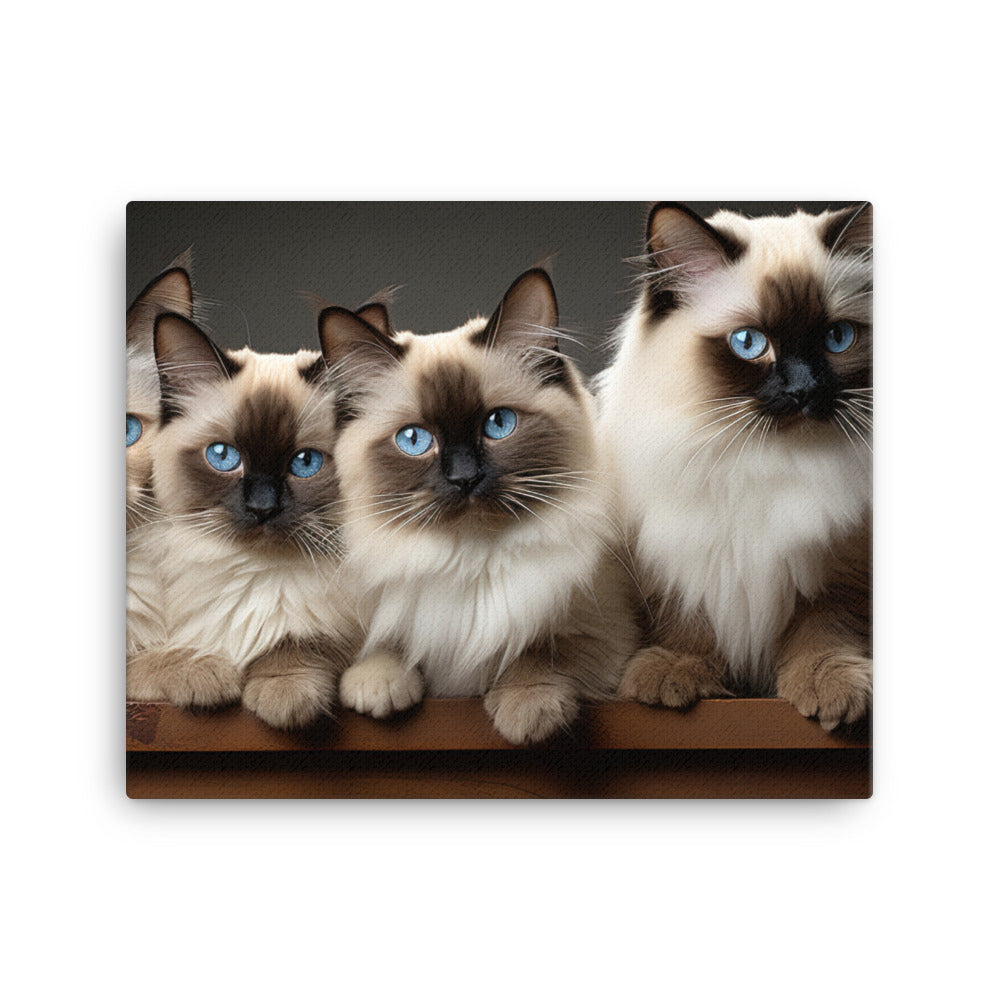 Birman Canvas - PosterfyAI.com