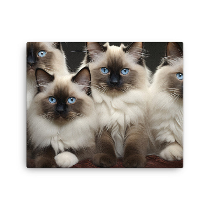 Birman Canvas - PosterfyAI.com