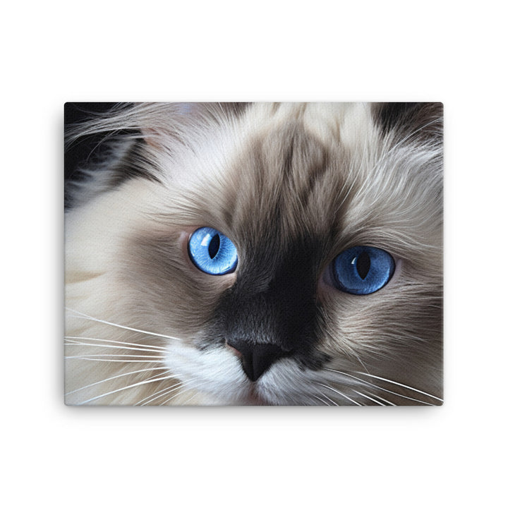 Birman Canvas - PosterfyAI.com