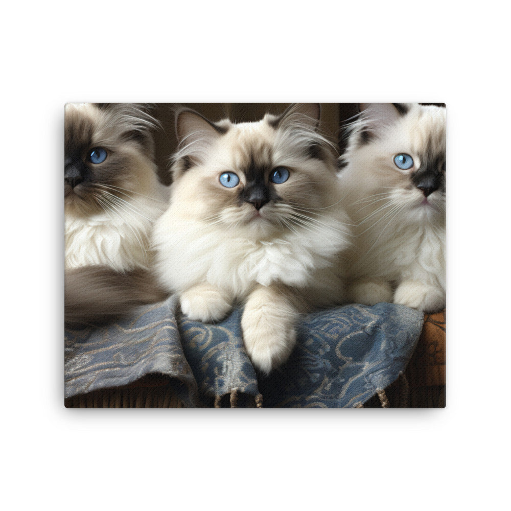 Birman Canvas - PosterfyAI.com