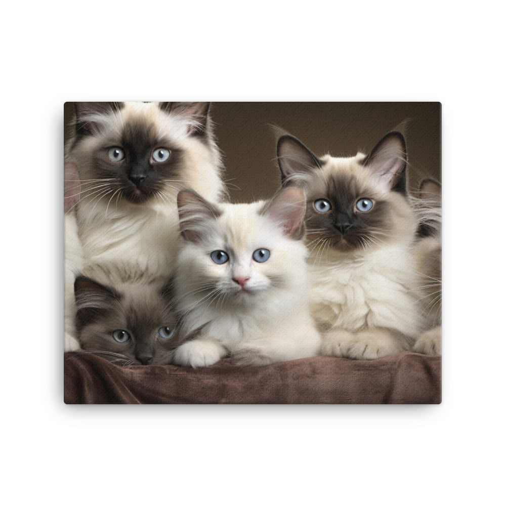 Birman Canvas - PosterfyAI.com