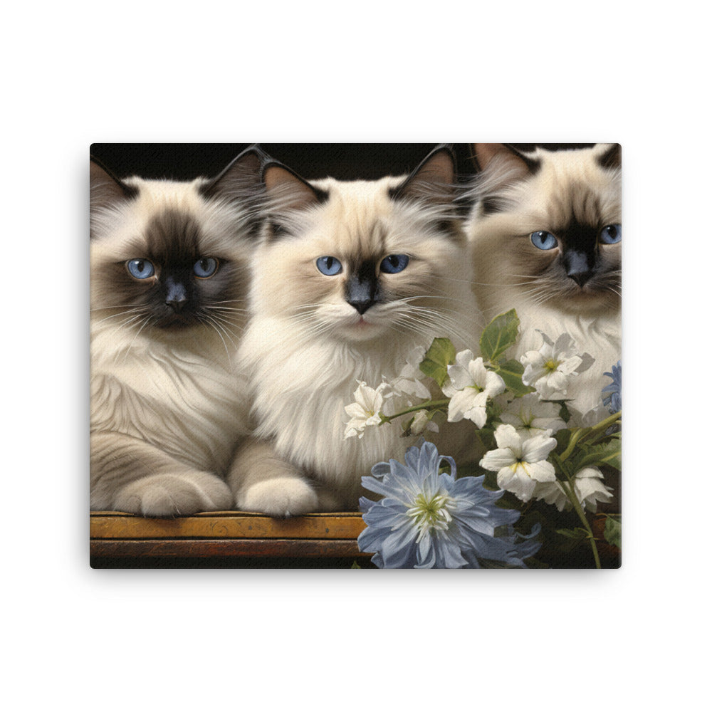 Birman Canvas - PosterfyAI.com