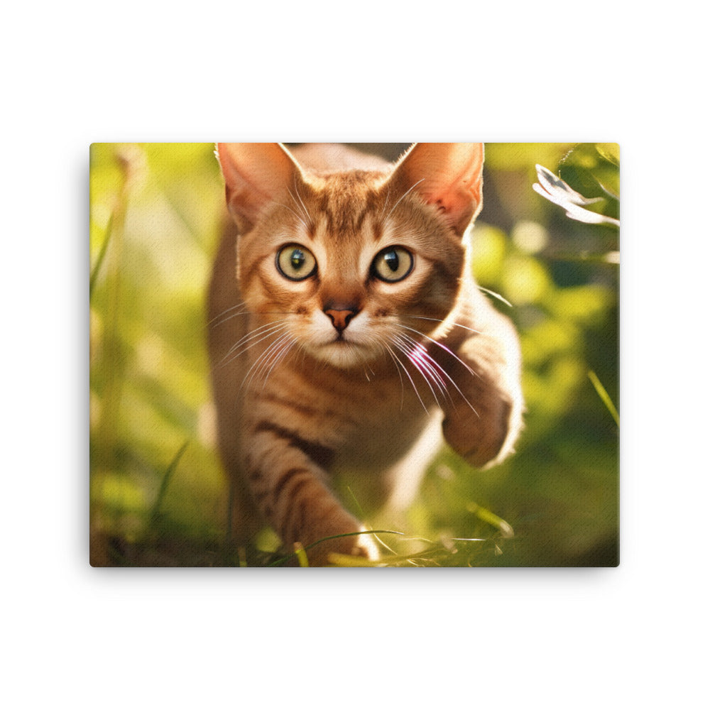 Abyssinian Canvas - PosterfyAI.com