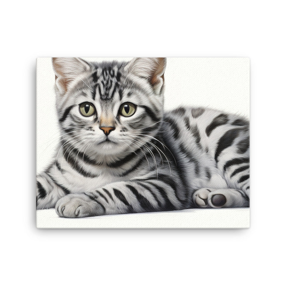 American Shorthair Canvas - PosterfyAI.com