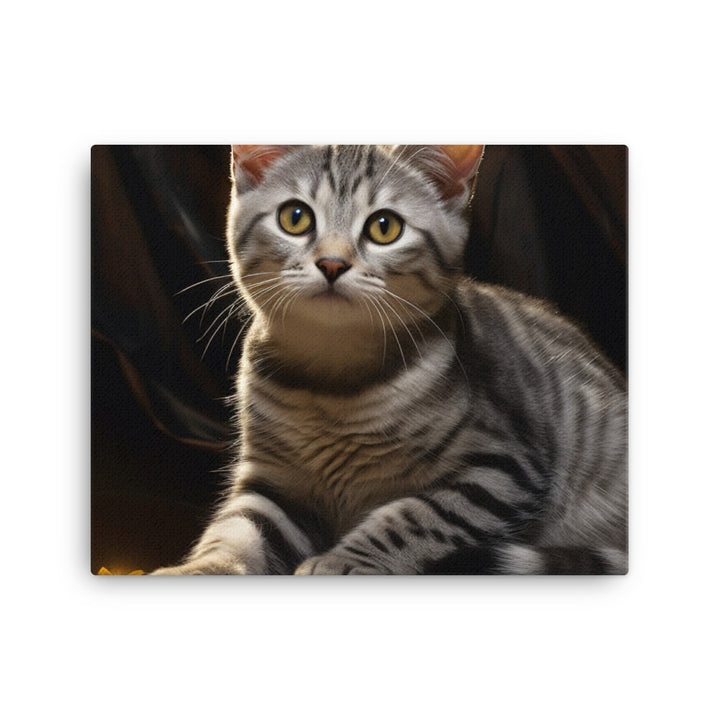 American Shorthair Canvas - PosterfyAI.com