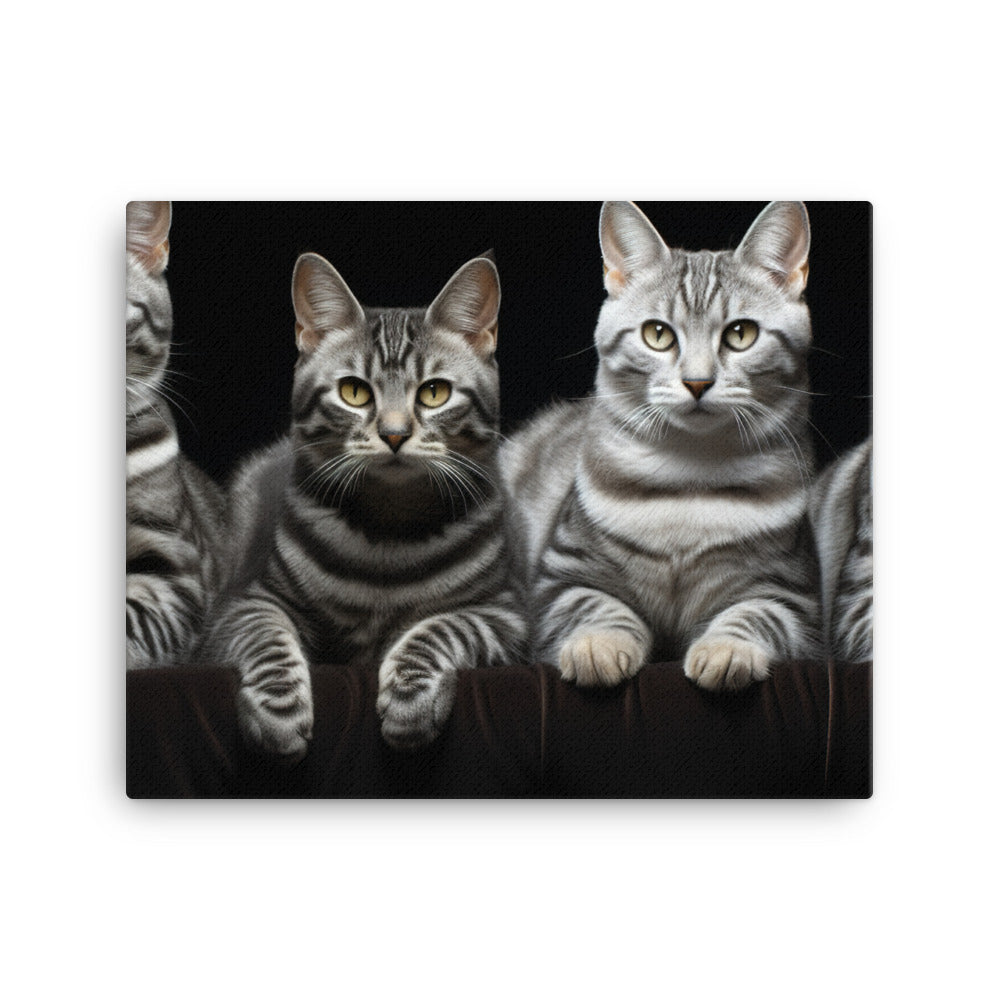 American Shorthair Canvas - PosterfyAI.com