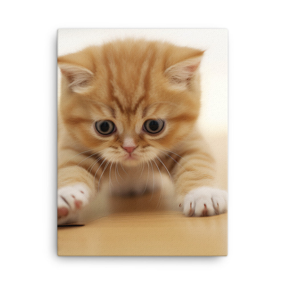 Exotic Shorthair Kitten Canvas - PosterfyAI.com