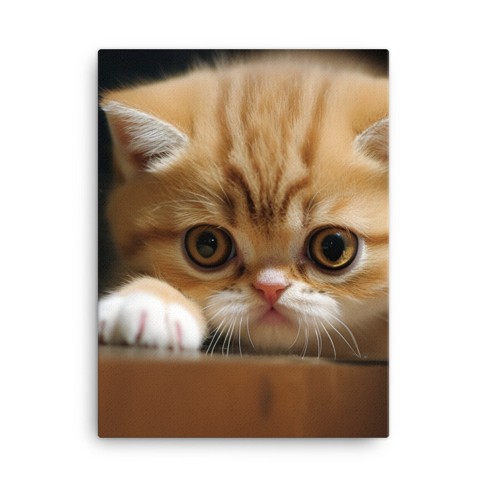 Exotic Shorthair Kitten Canvas - PosterfyAI.com