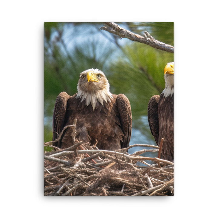 Bald Eagle in its Nest with Eaglets Canvas - PosterfyAI.com