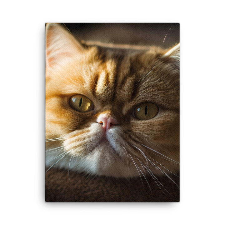 Exotic Shorthair Cat Canvas - PosterfyAI.com