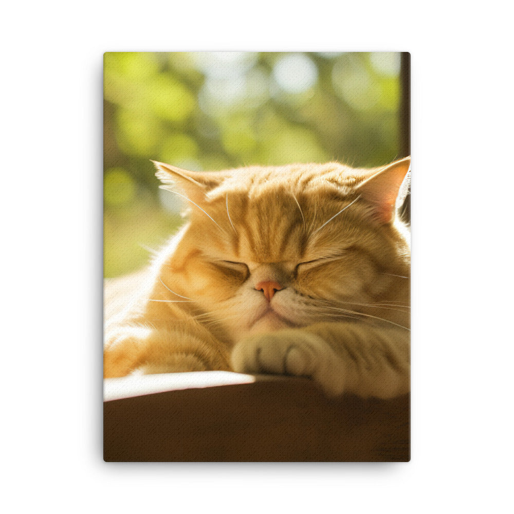 Exotic Shorthair Cat Napping Canvas - PosterfyAI.com