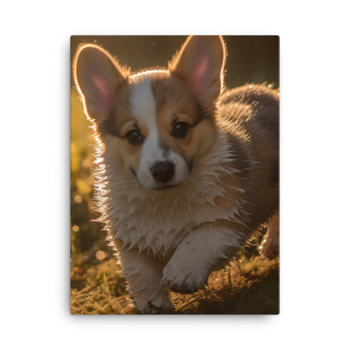 Welsh Corgi Puppy Playing Canvas - PosterfyAI.com