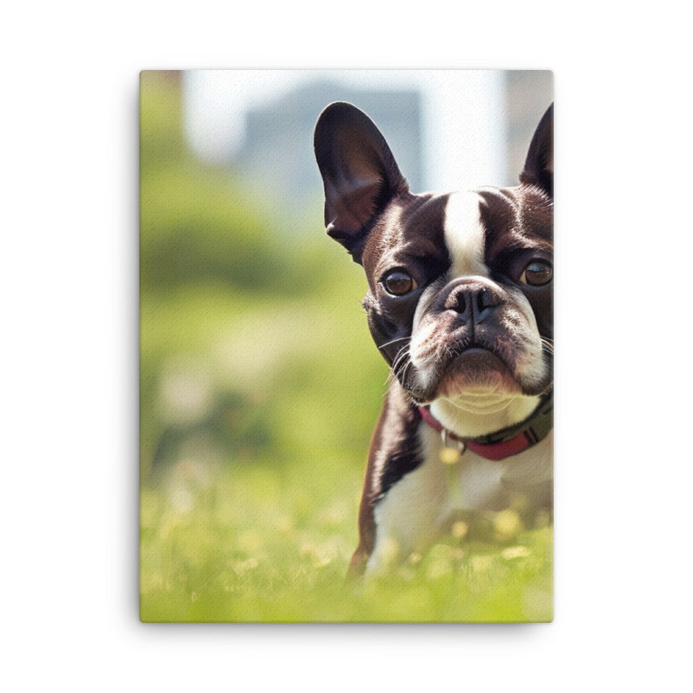 Spunky Boston Terrier in the Park Canvas - PosterfyAI.com