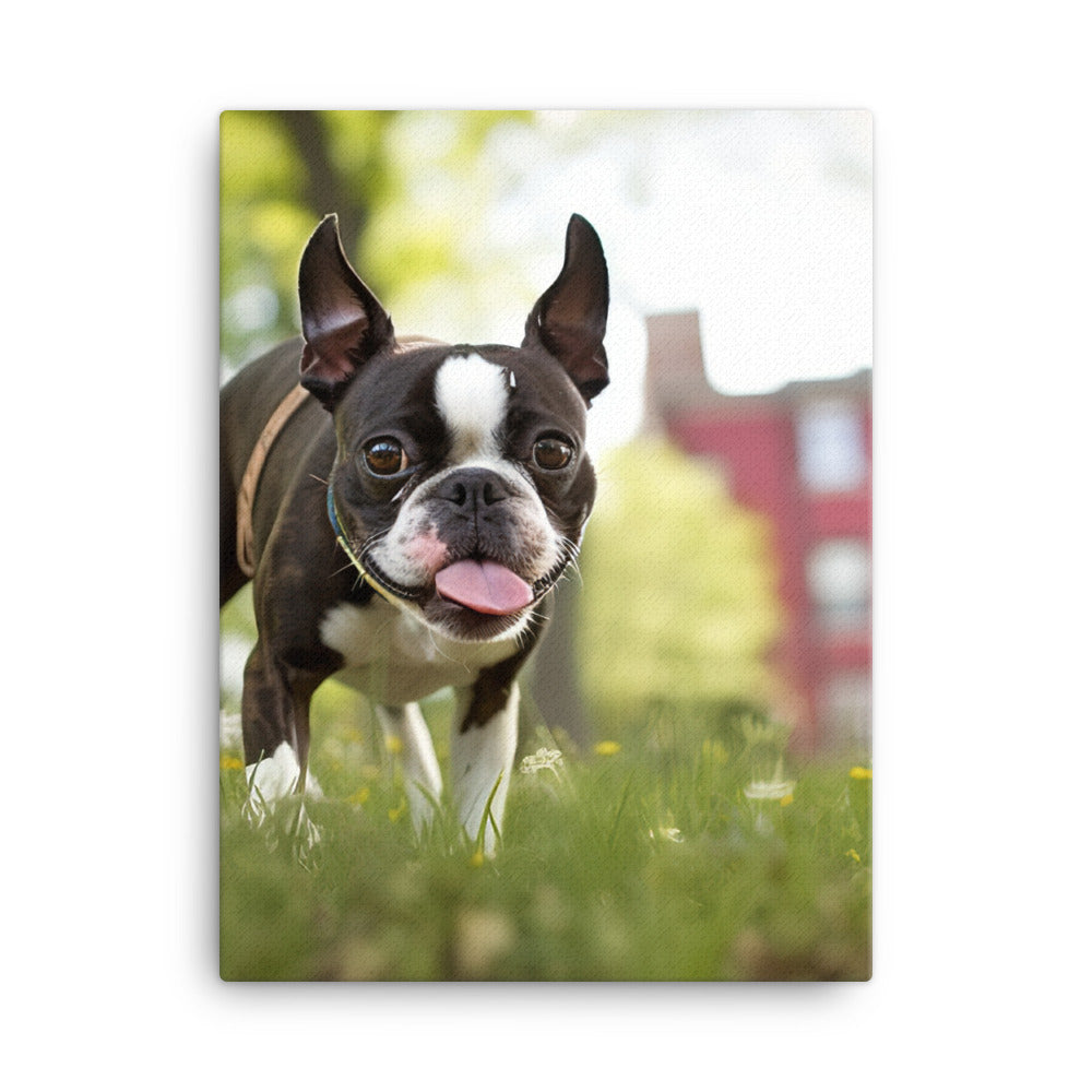 Spunky Boston Terrier in the Park Canvas - PosterfyAI.com