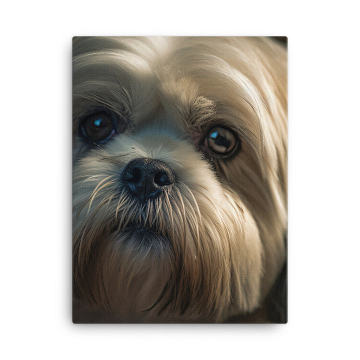 Lhasa Apso Gaze Canvas - PosterfyAI.com