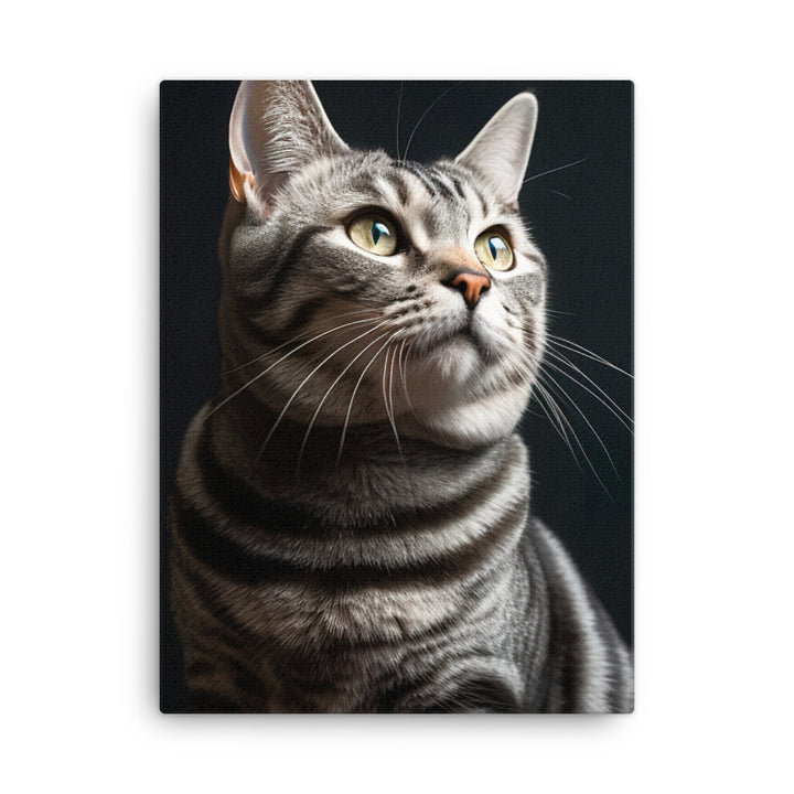 American Shorthair Cat Canvas - PosterfyAI.com