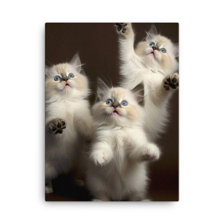 Ragdoll Kitten Canvas - PosterfyAI.com