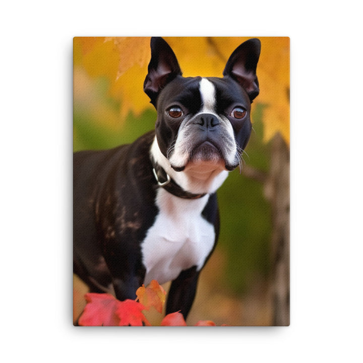 Boston Terrier with Fall Colors Canvas - PosterfyAI.com