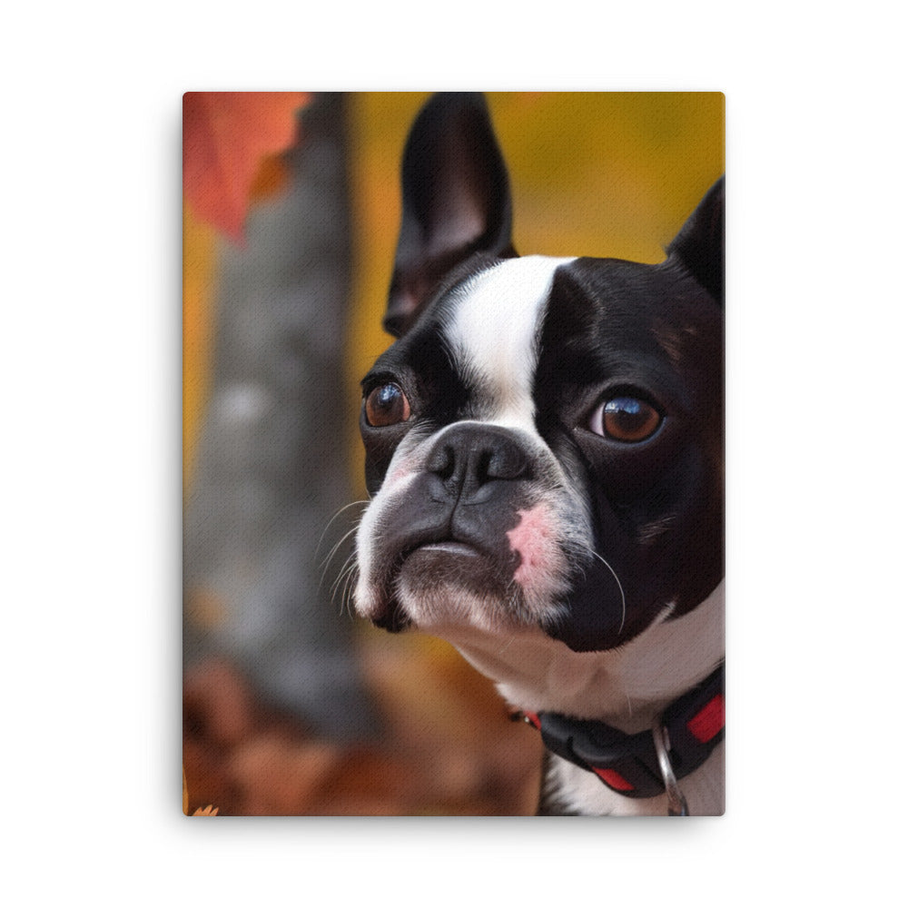 Boston Terrier with Fall Colors Canvas - PosterfyAI.com