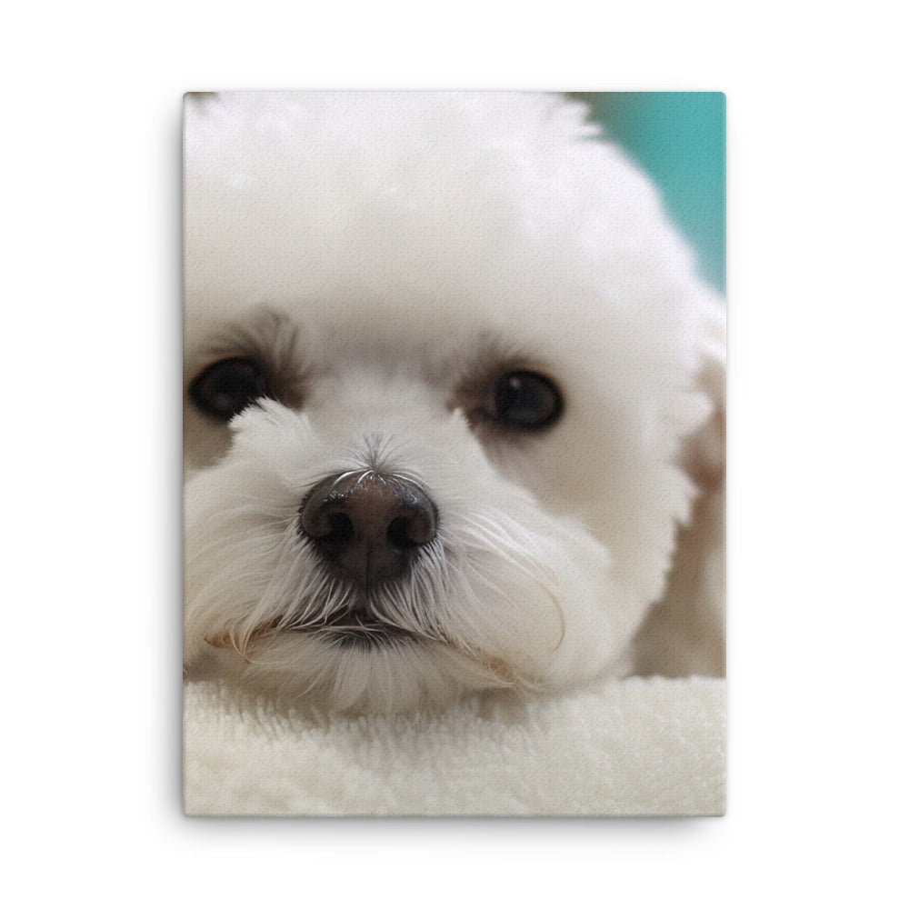 Bichon Frise in a Spa Canvas - PosterfyAI.com