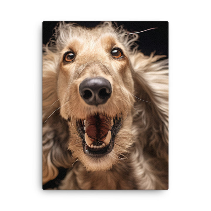 Afghan Hound in a playful mood Canvas - PosterfyAI.com